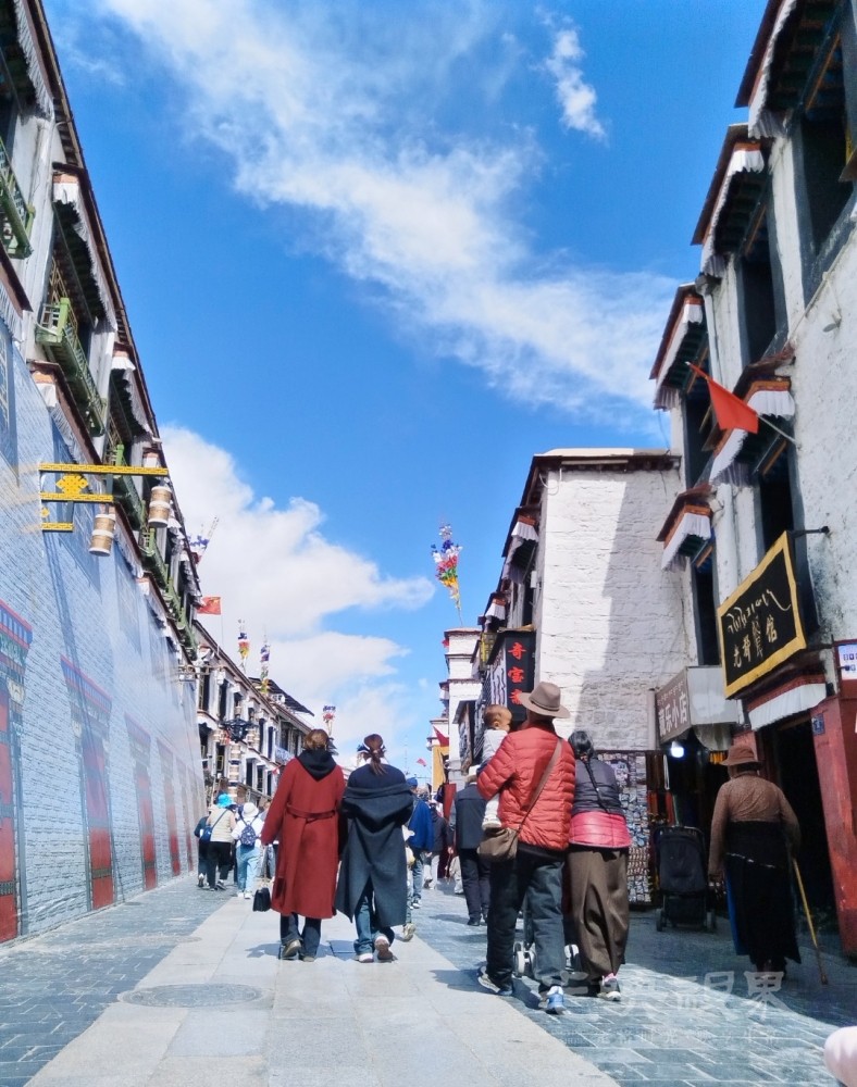 MEITU_20250428_214729304.jpg