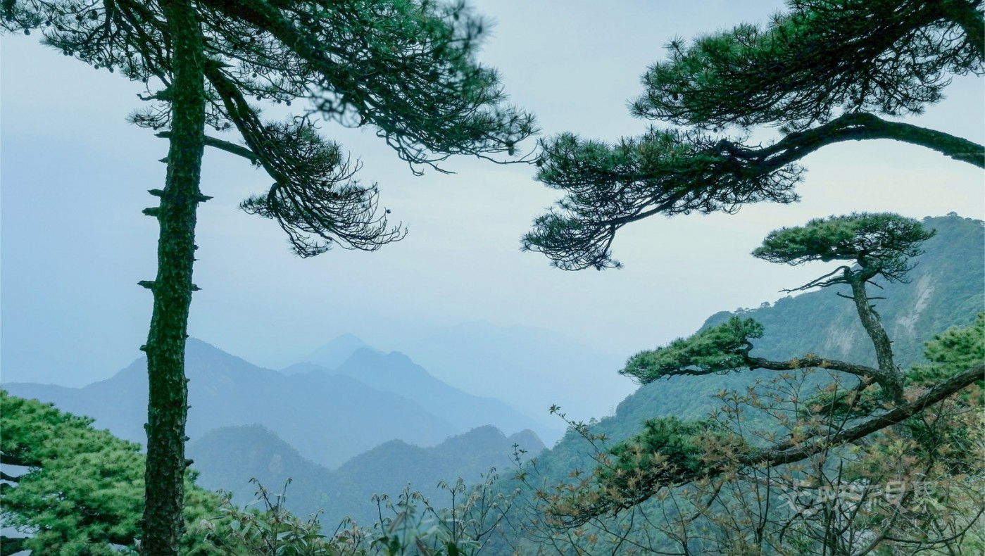 20180428玉山三清山016.jpg