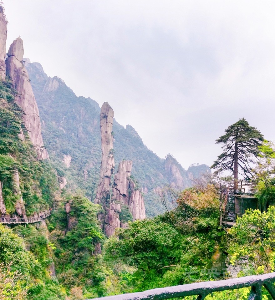 20180428玉山三清山028.jpg