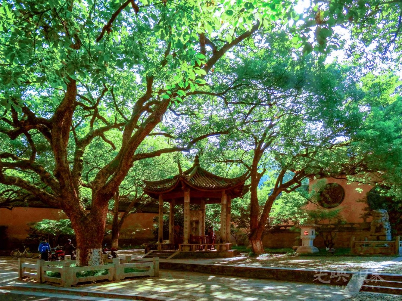 20161110杭州净寺003.jpg
