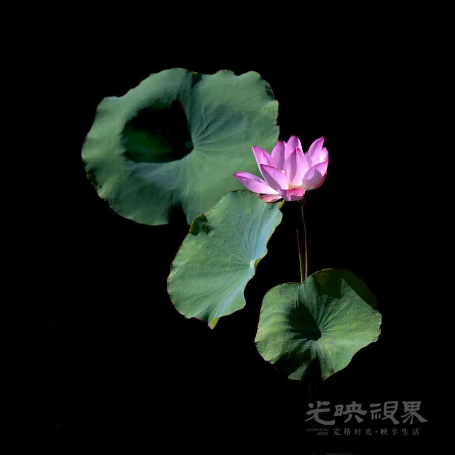IMG_6449_副本.jpg
