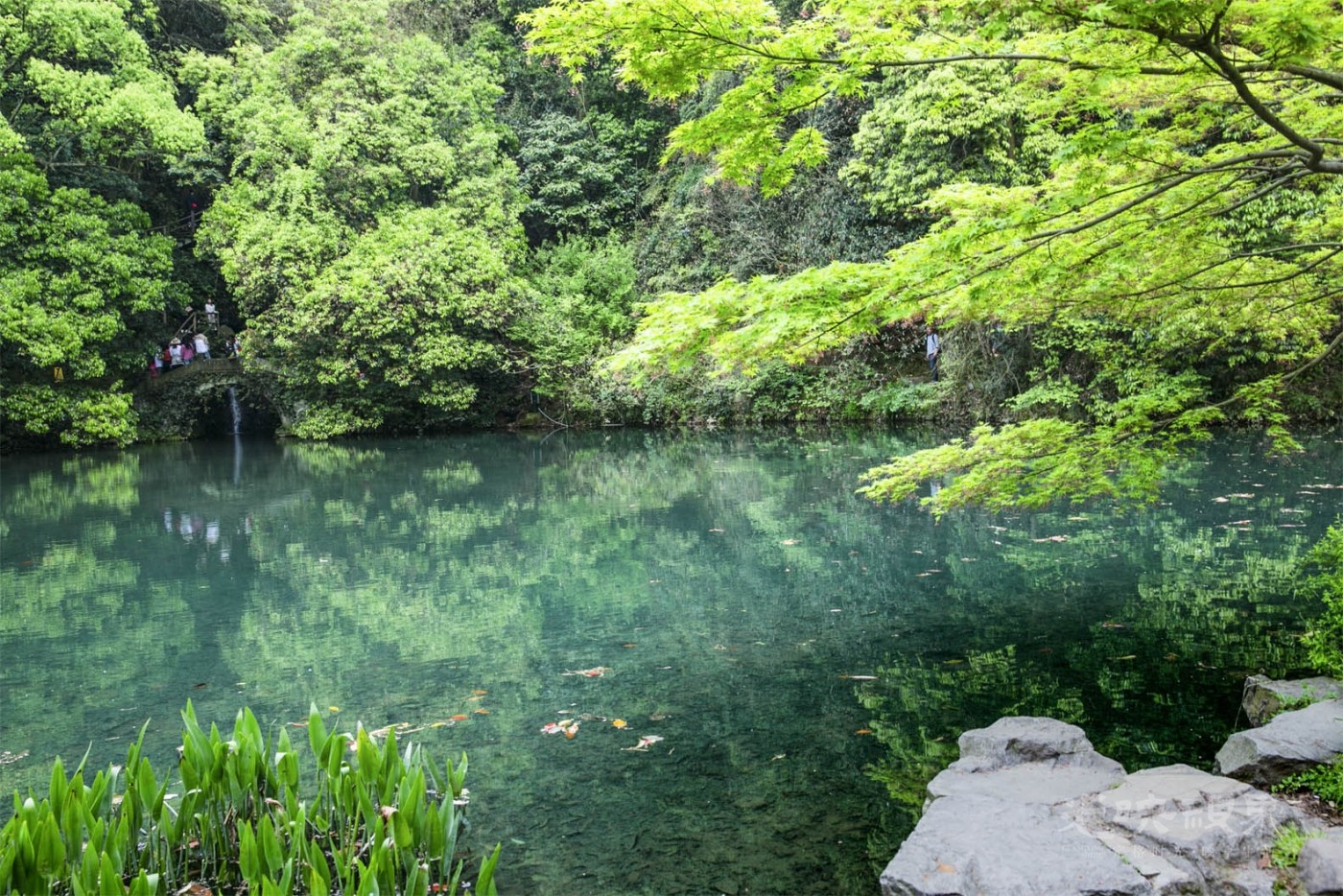 20190413杭州九溪015.jpg