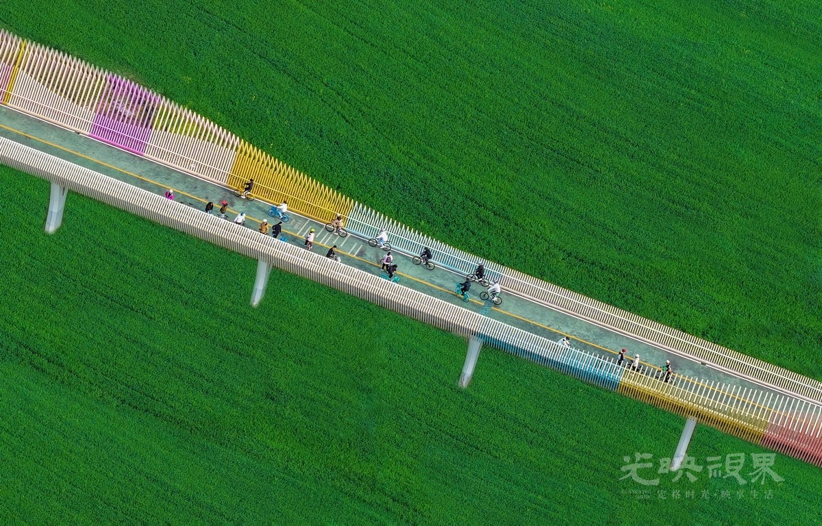 黄振锋-春满绿道090Zs8exEj3ym.jpg