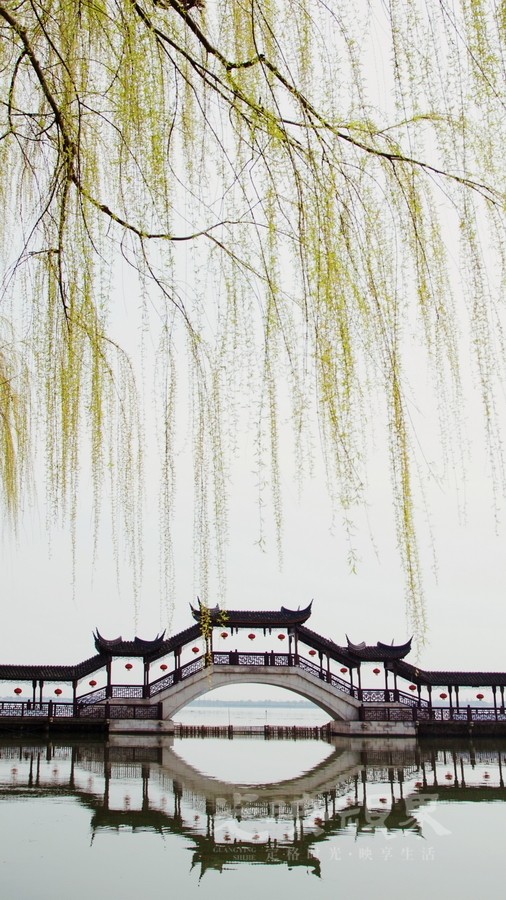 李志新-春拂古莲桥087XMWdsBcyDn.jpg