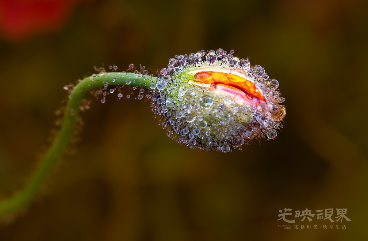 时英周 -雨润070-3frD458iSA.jpg