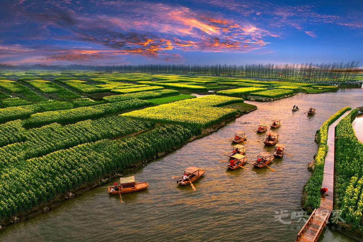 张繁琴-暮归099NbAsknDz4e.jpg