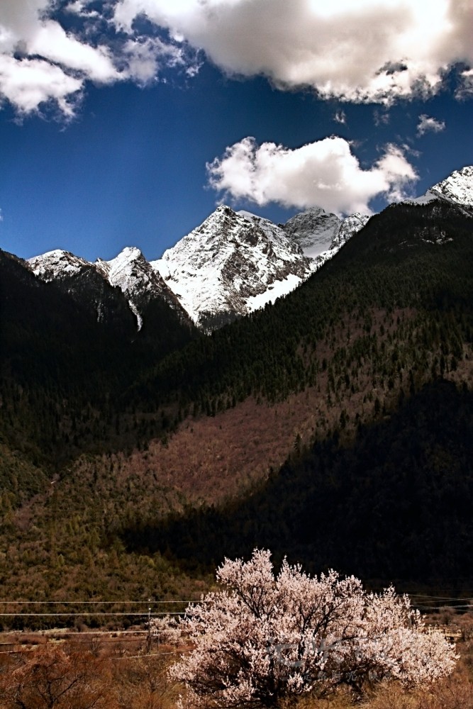 Image_1747282499527.jpg