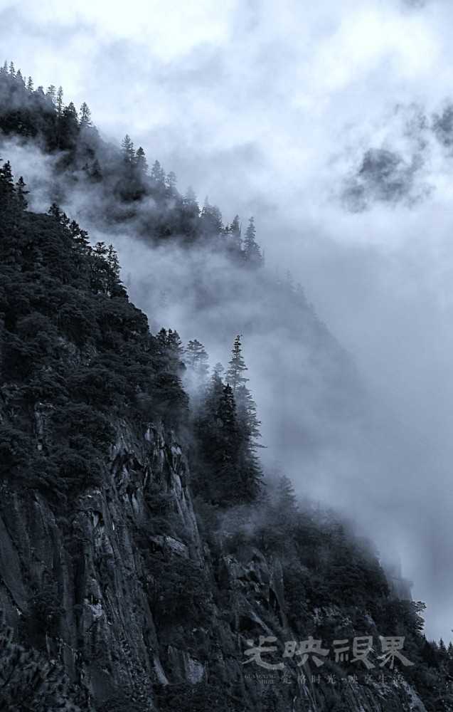 Image_1747369060932.jpg