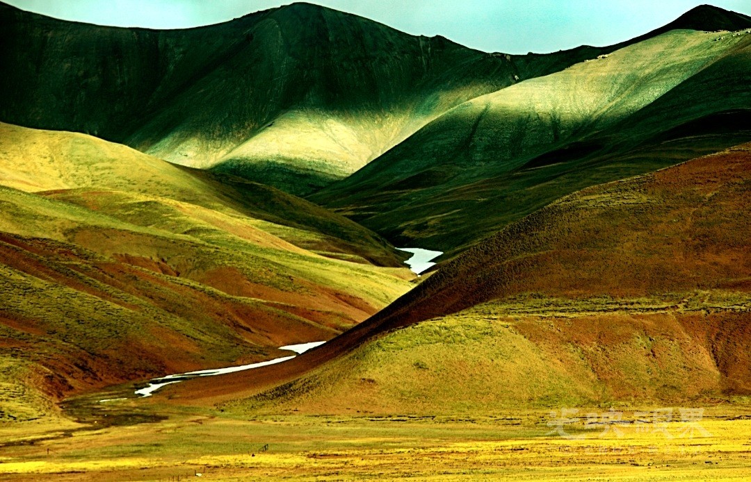 Image_1747448006299.jpg