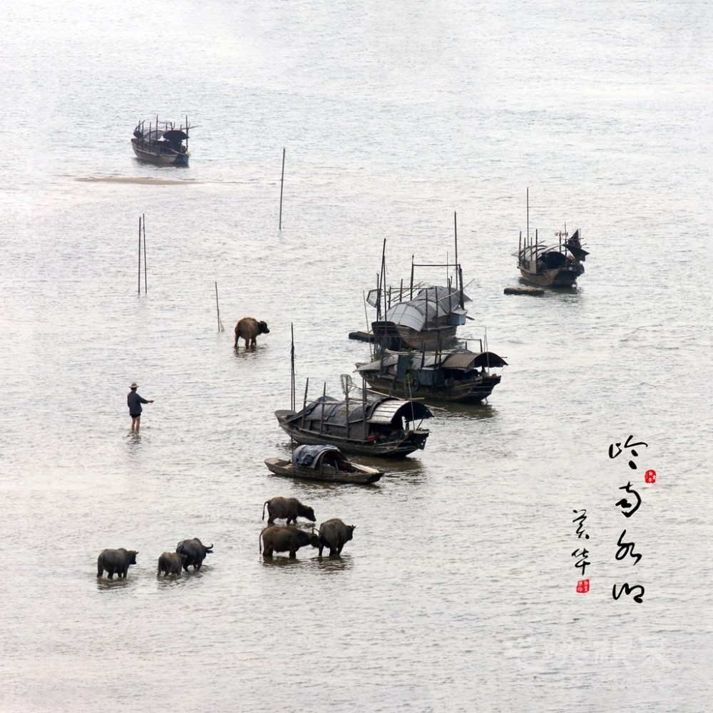 mmexport1651916237374_副本.jpg