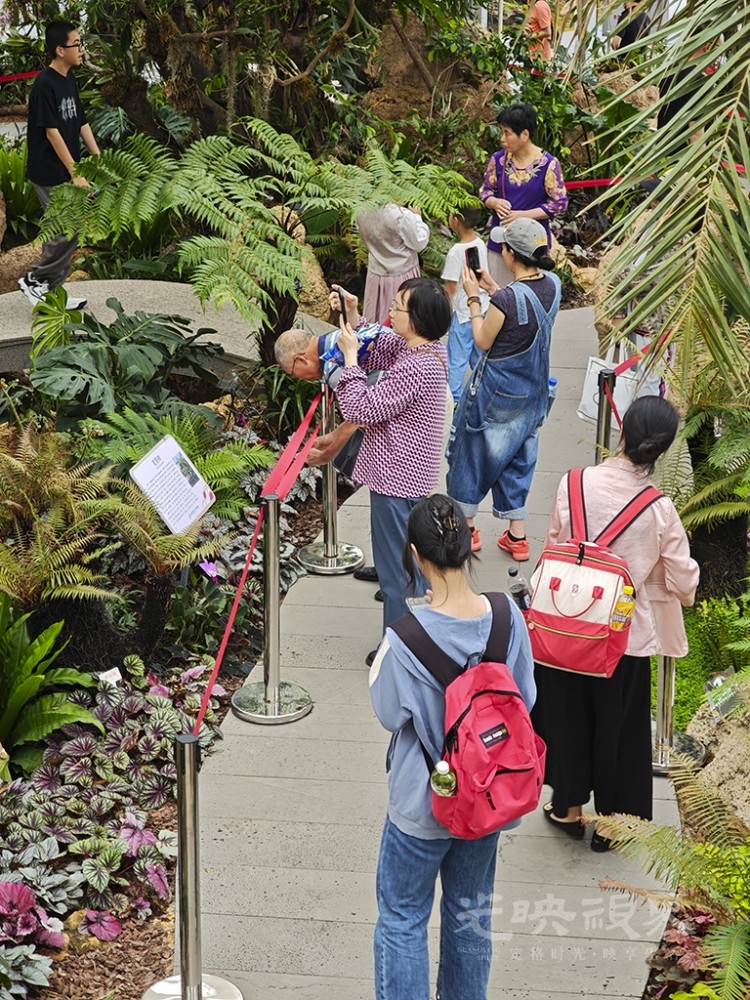 再游三江口植物园0071024.jpg