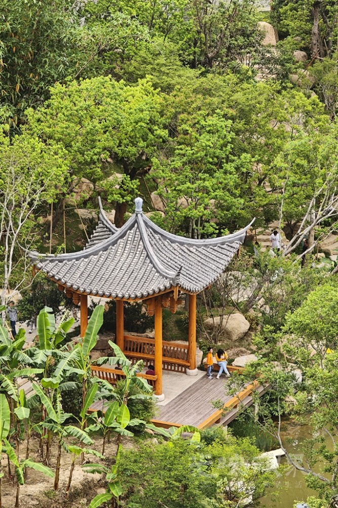 再游三江口植物园0281024.jpg