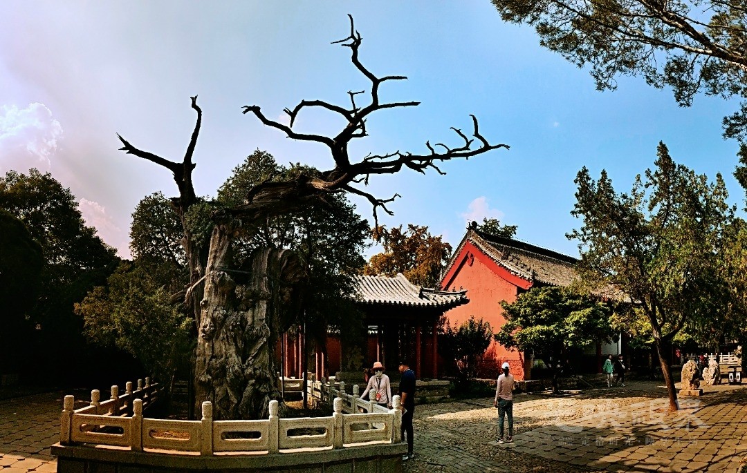 Image_1748746377851.jpg