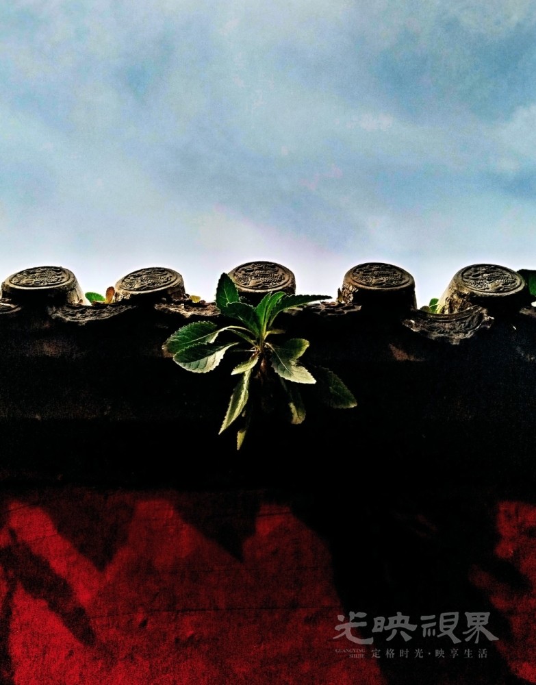Image_1748003427102.jpg
