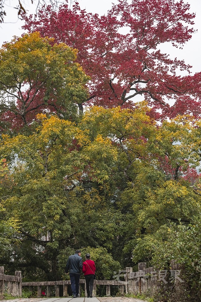 DSC_1776.jpg