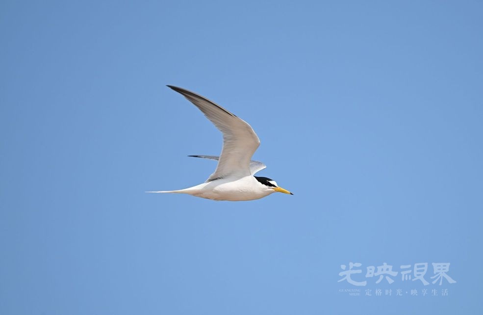 DSC_9040_副本.jpg