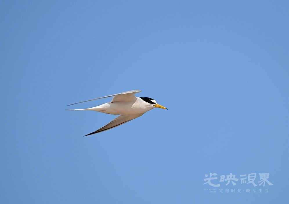 DSC_9039_副本.jpg