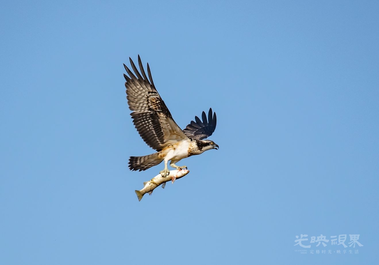 DSC_7141 - 副本_副本.jpg