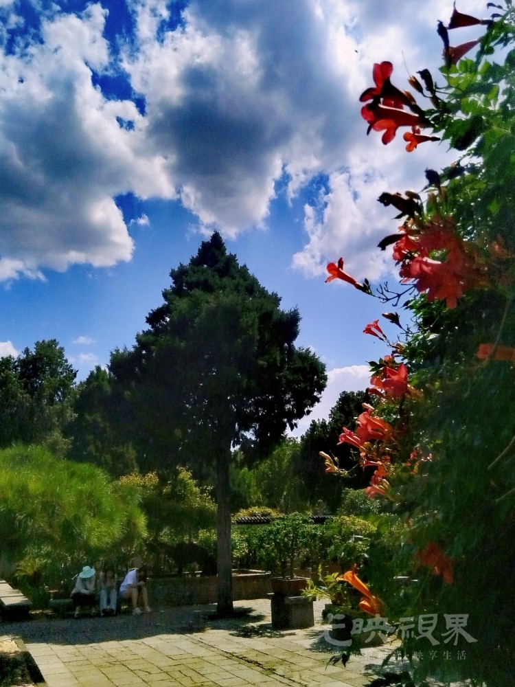 MEITU_20250623_170235102.jpg