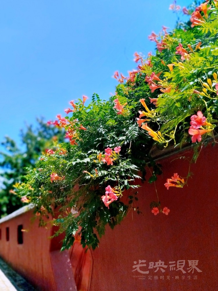 MEITU_20250623_165707827.jpg