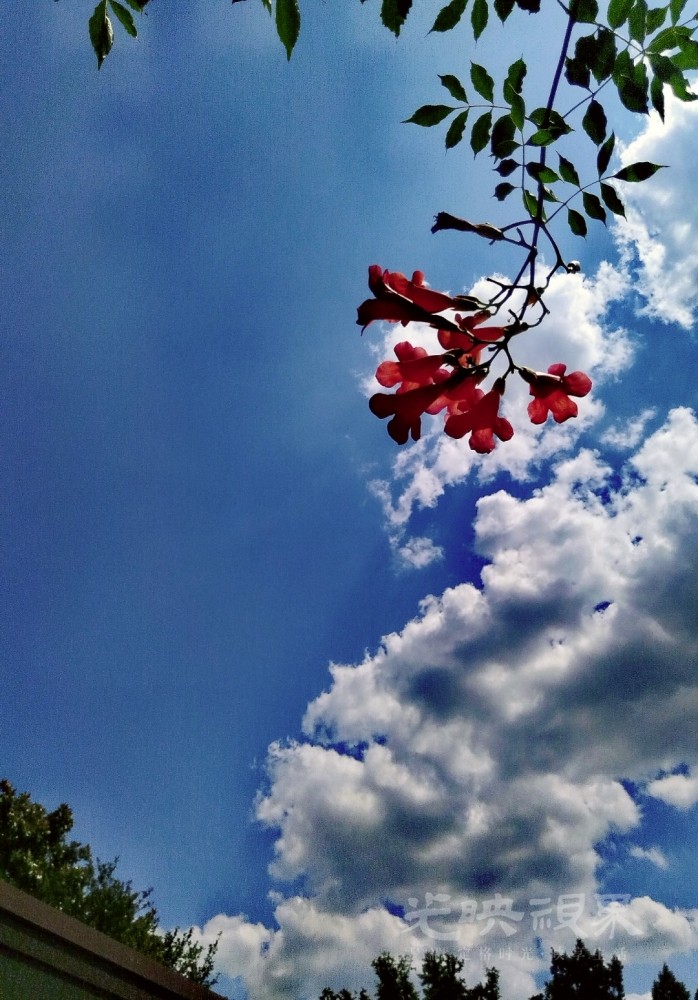 MEITU_20250623_170327854.jpg