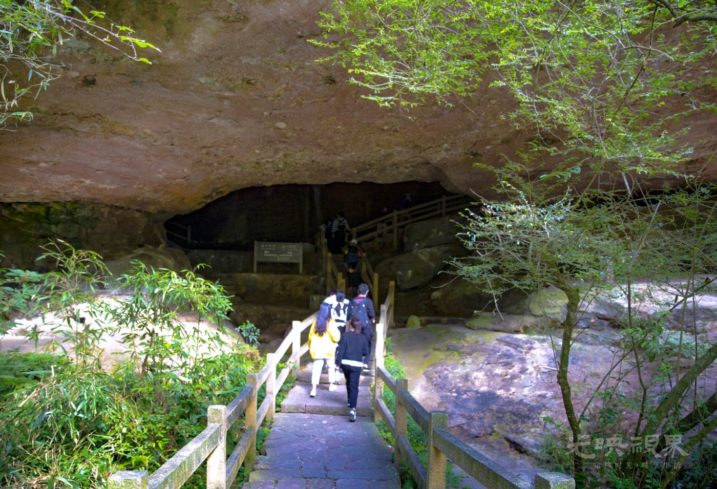 20201031福建武夷山007.jpg