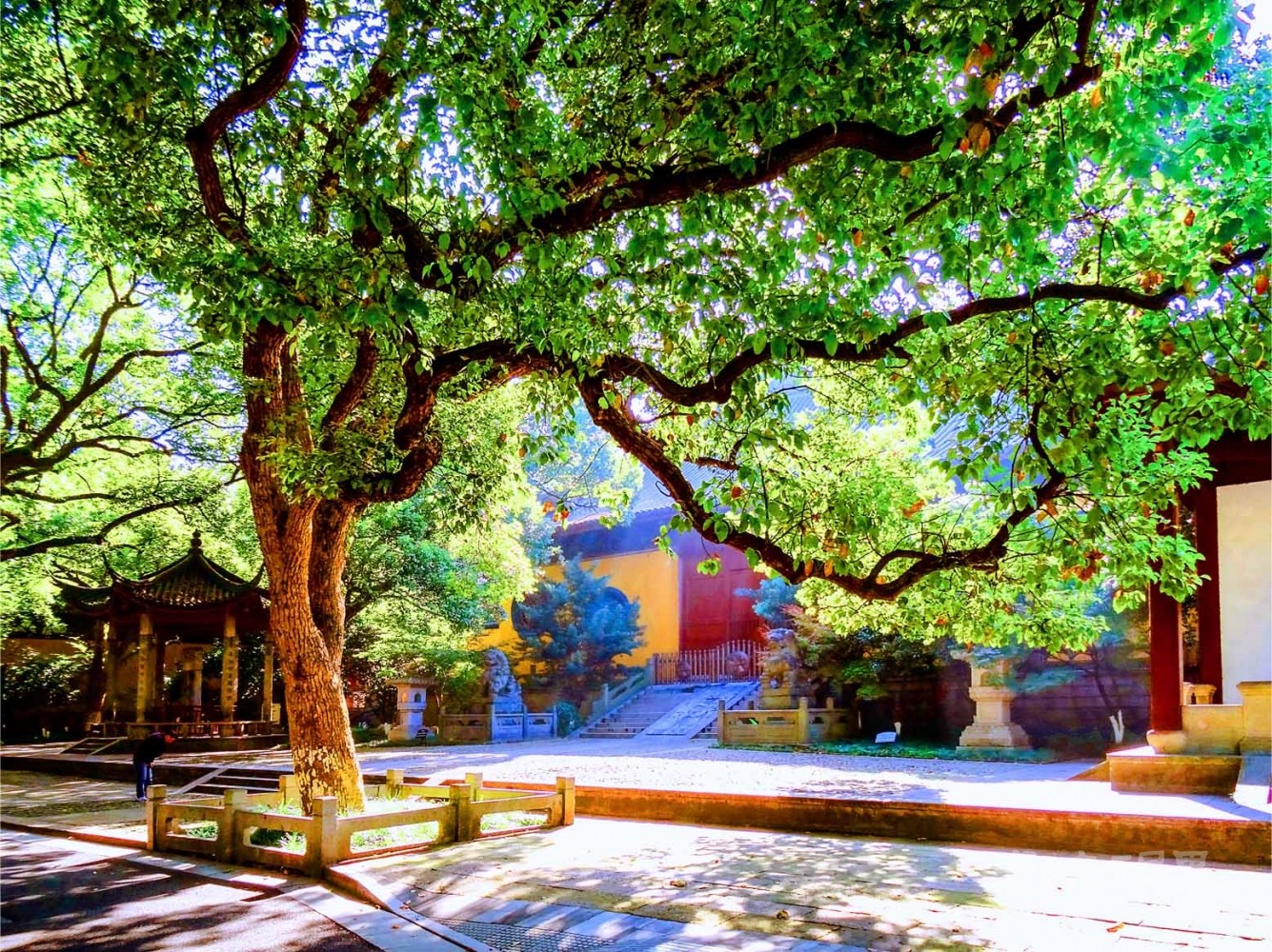 20161110杭州净寺002.jpg