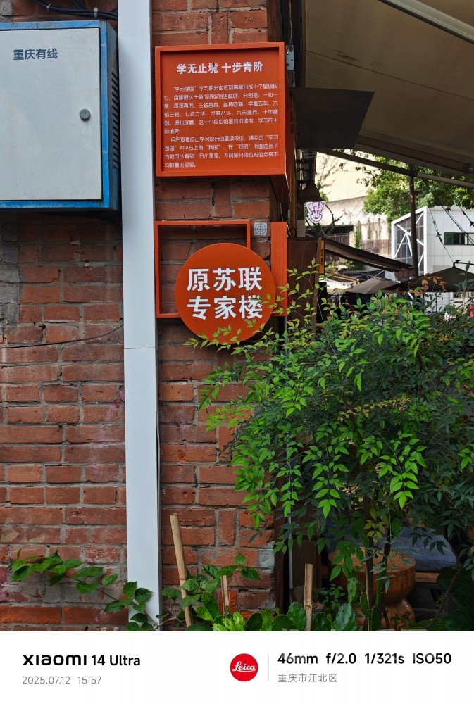 IMG_20250716_094428.jpg