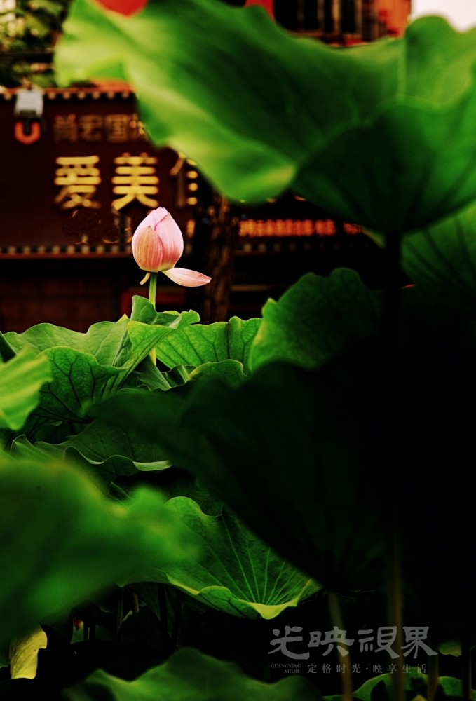 MEITU_20250722_131340219.jpg