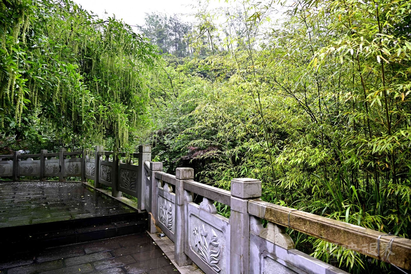 _1082403_副本.jpg