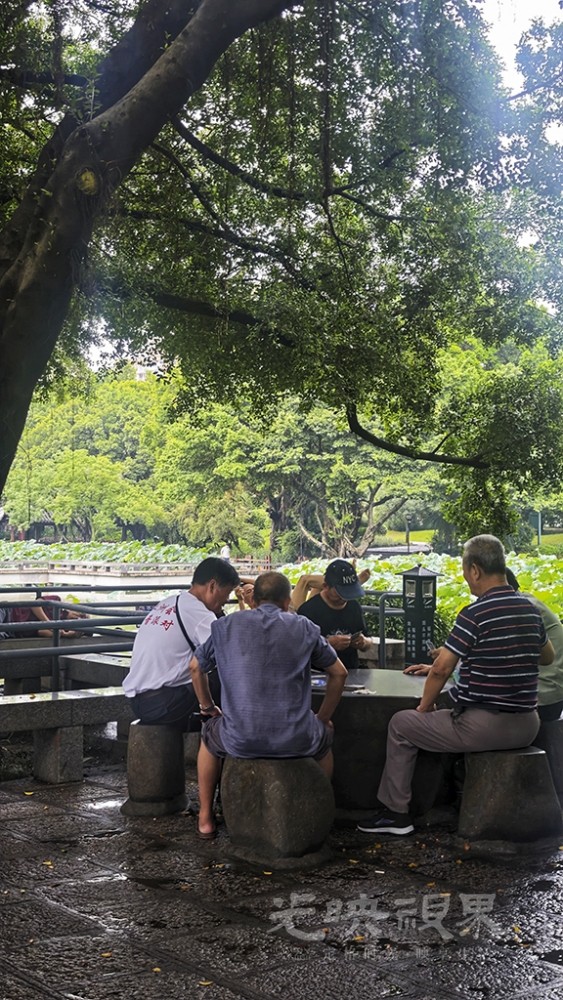 雨后0161024.jpg