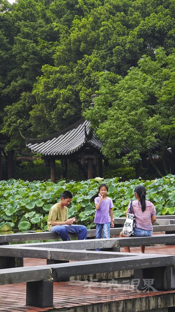 雨后0171024.jpg