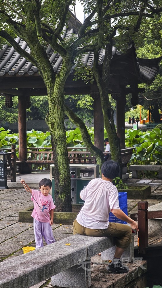 雨后0191024.jpg