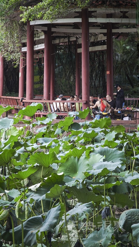 雨后0201024.jpg