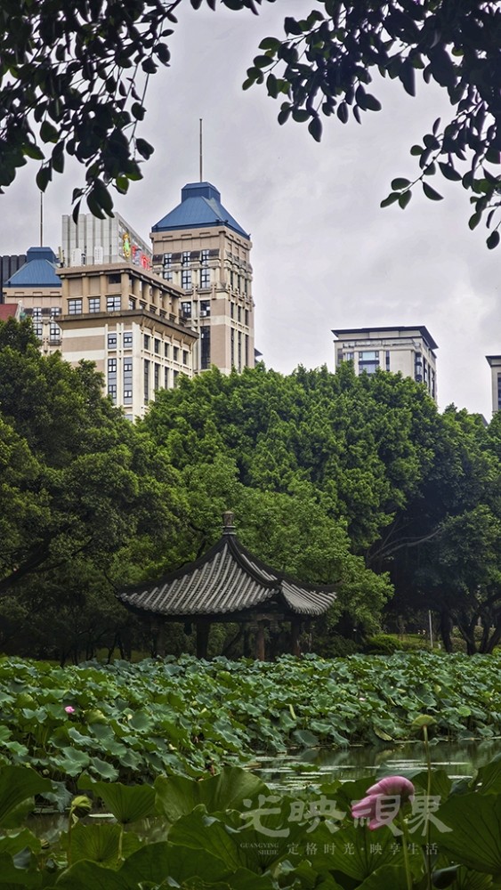 雨后0231024.jpg