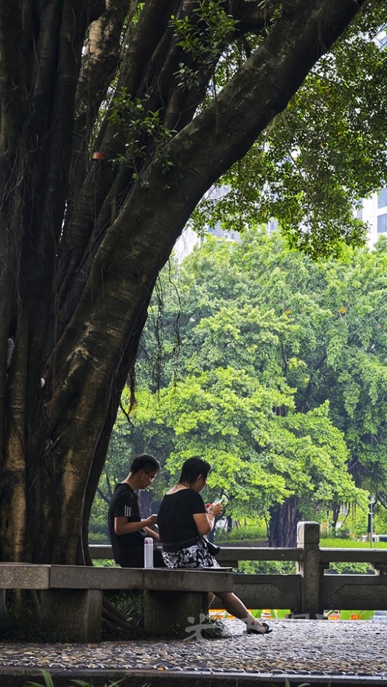 雨后0241024.jpg