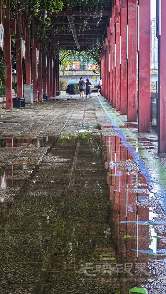 雨后0251024.jpg