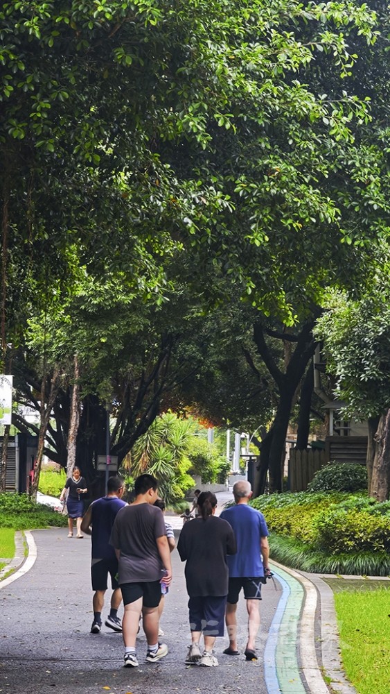 雨后0271024.jpg