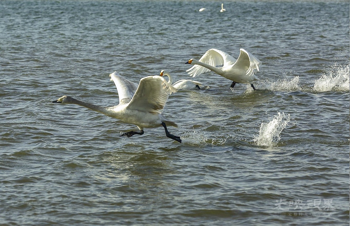 DSC_0027.jpg