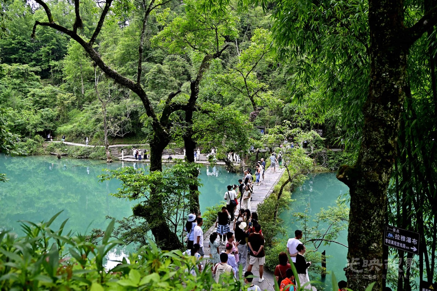 _1082545_副本.jpg