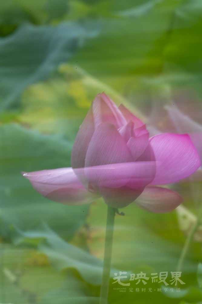 DSC_1765.jpg