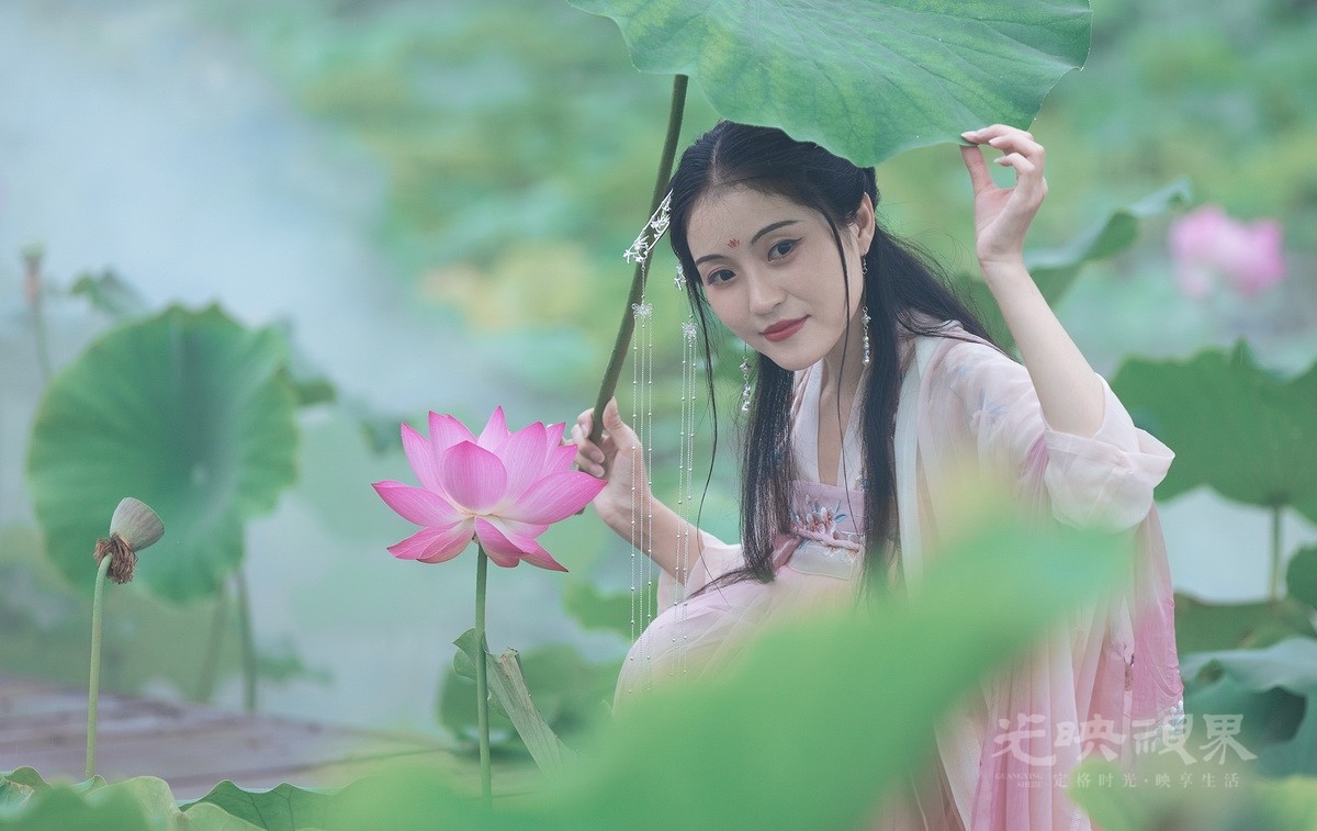 吴桂香-荷叶临风翠作裳91-ztM3sK6bcw.jpg