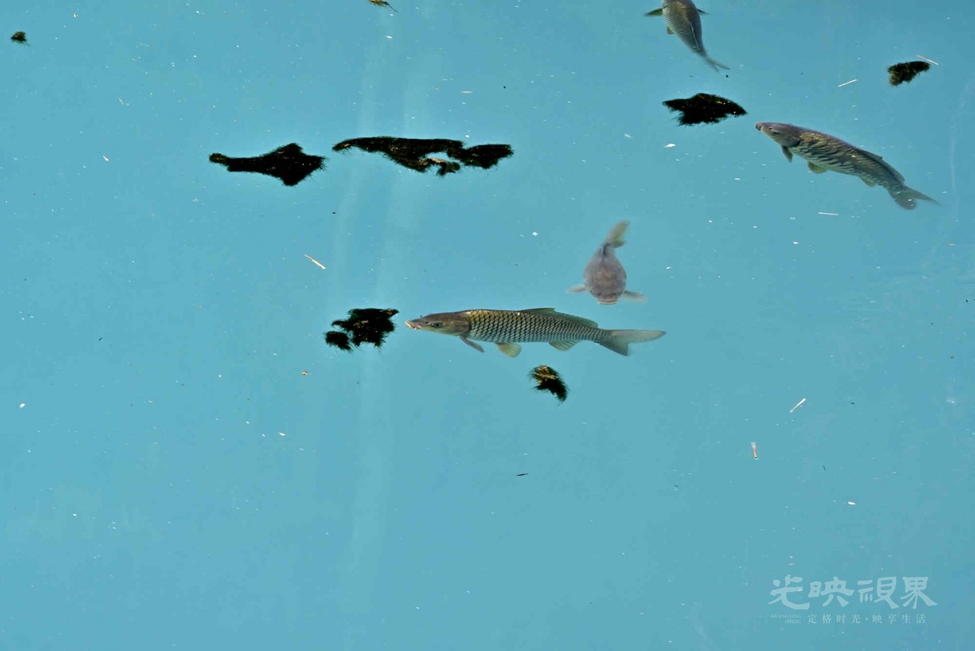 _1082717_副本.jpg