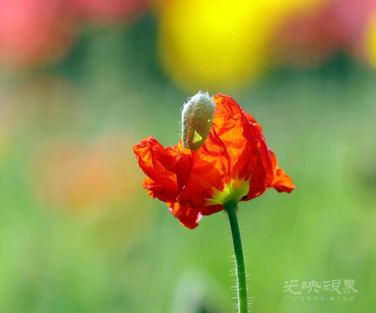 BK2A6435_副本.jpg