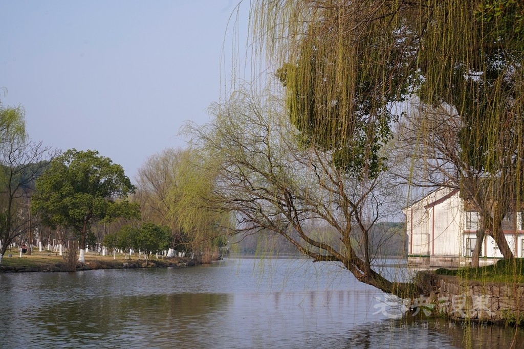 DSC06735_副本.jpg