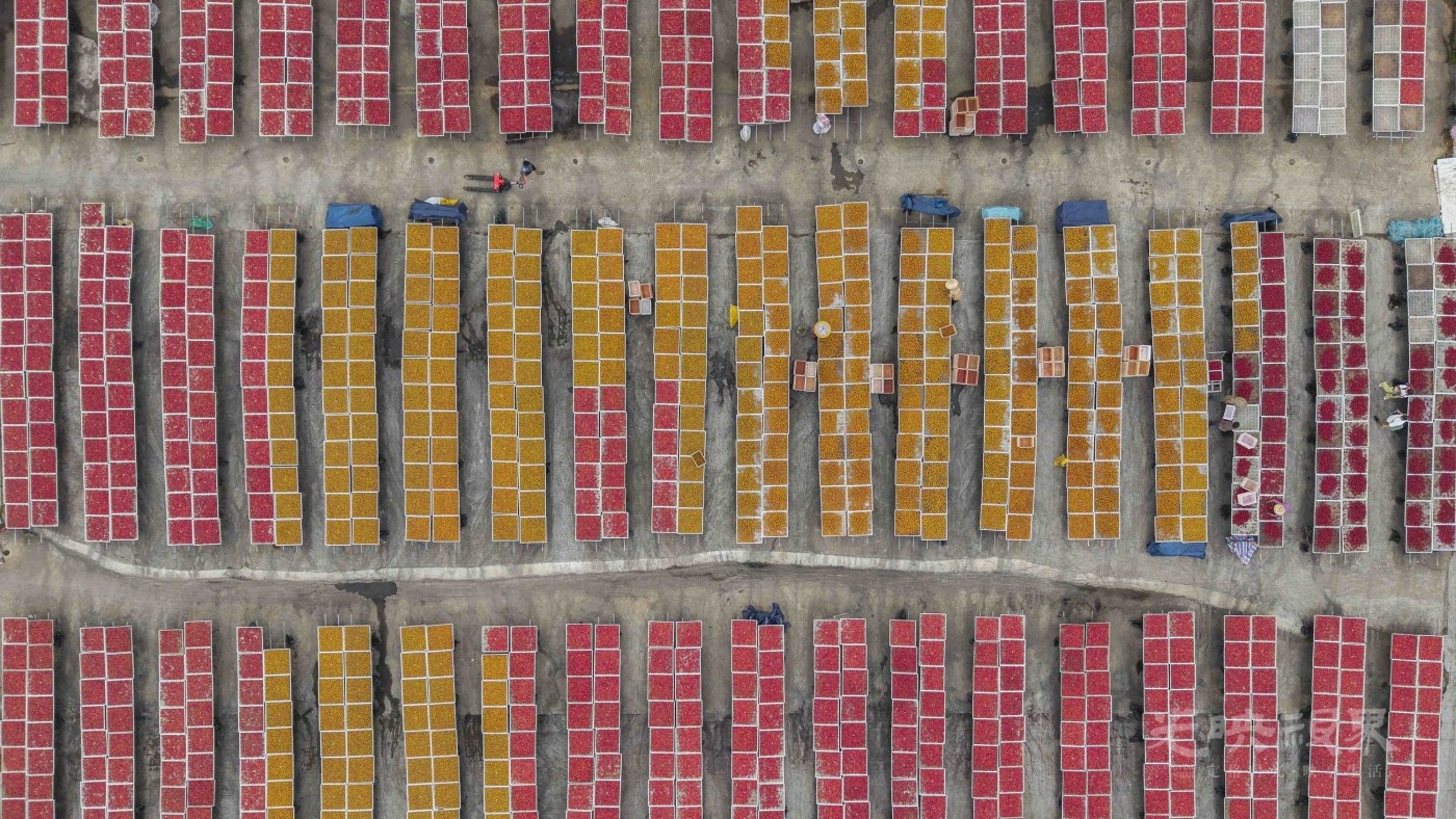 DJI_20250823072315_0039_D_1_1.JPG