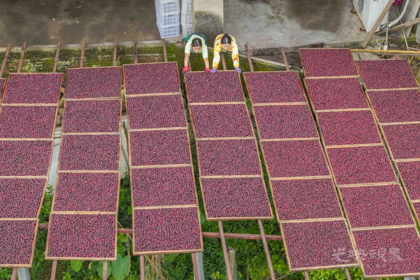 DJI_20250823075710_0056_D_10_1.JPG