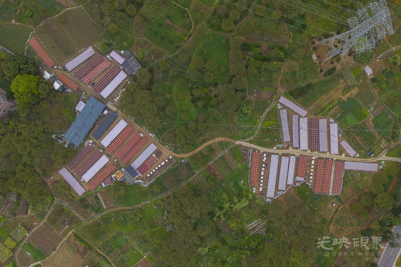DJI_20250823080619_0057_D_1.jpg