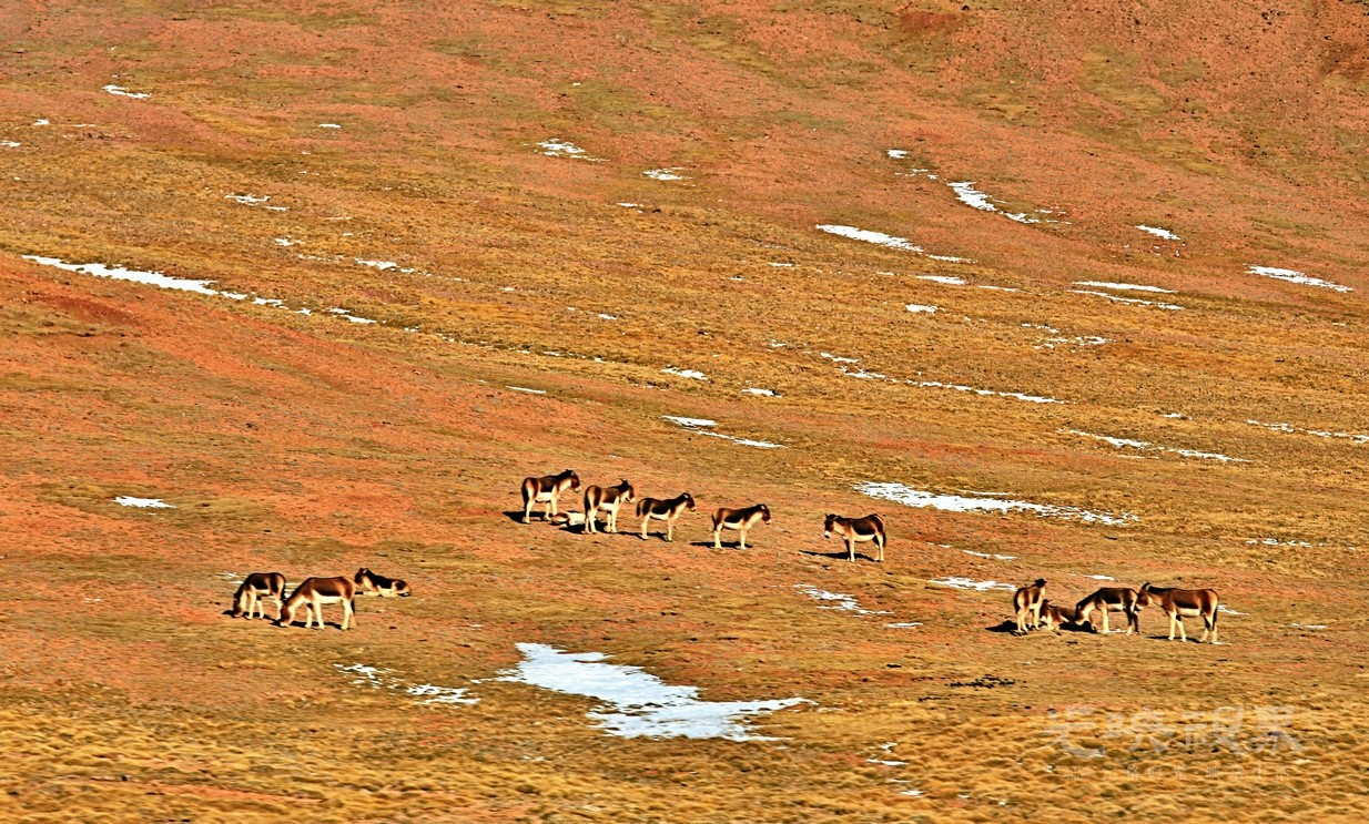 Image_1756633605409.jpg