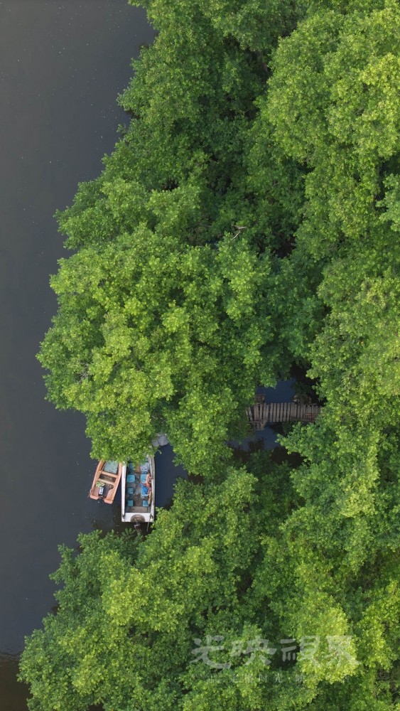 DJI_20250829060241_0049_D.jpg
